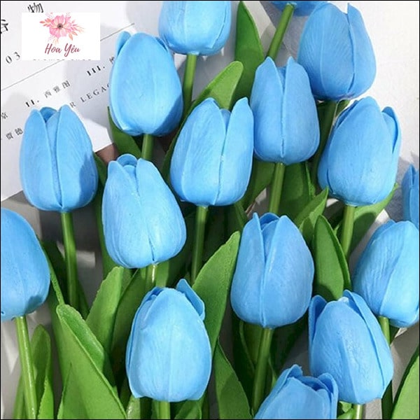 Hoa Tulip xanh