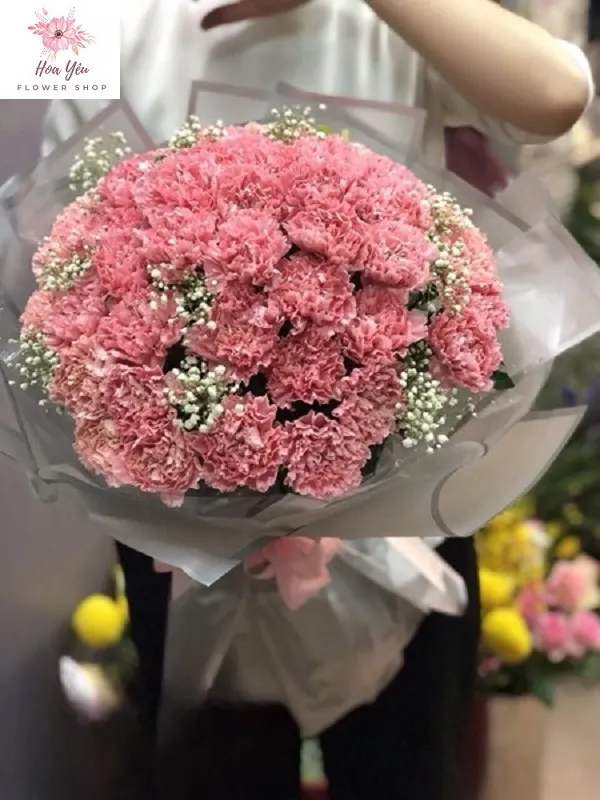 Giỏ hoa hoa cẩm chướng và hoa baby's breath