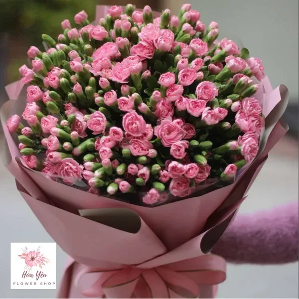 Hoa tốt nghiệp giá rẻ từ bó hoa cẩm chướng