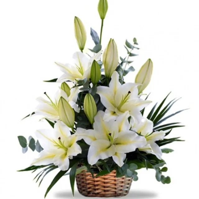 Lẵng hoa Phượng và hoa Lily trắng